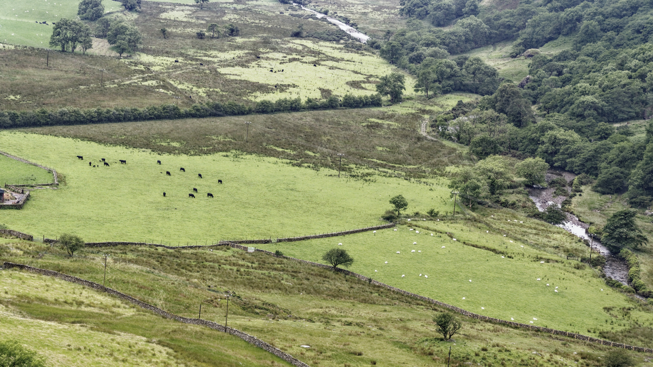 20170628 155541•Bedd Gelert•Wales